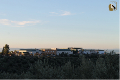 aceites-cazorla-panoramica