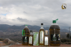 aceites-picon-hernandez-bodegon