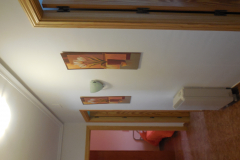 DSCN1920