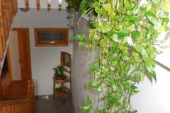 DSCN1924