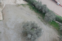 DSCN1928