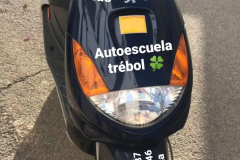 trebol1