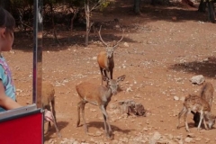 collado-del-almendral-10