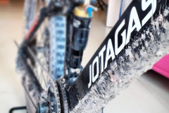 ebike1