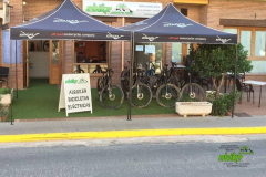 ebike3