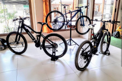 ebike4