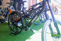 ebike8