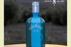 New Product Olive Oil Instagram Post - 6