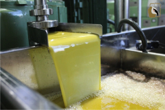 aceites-canamares-aceite