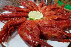 carabineros