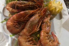 gamba-roja